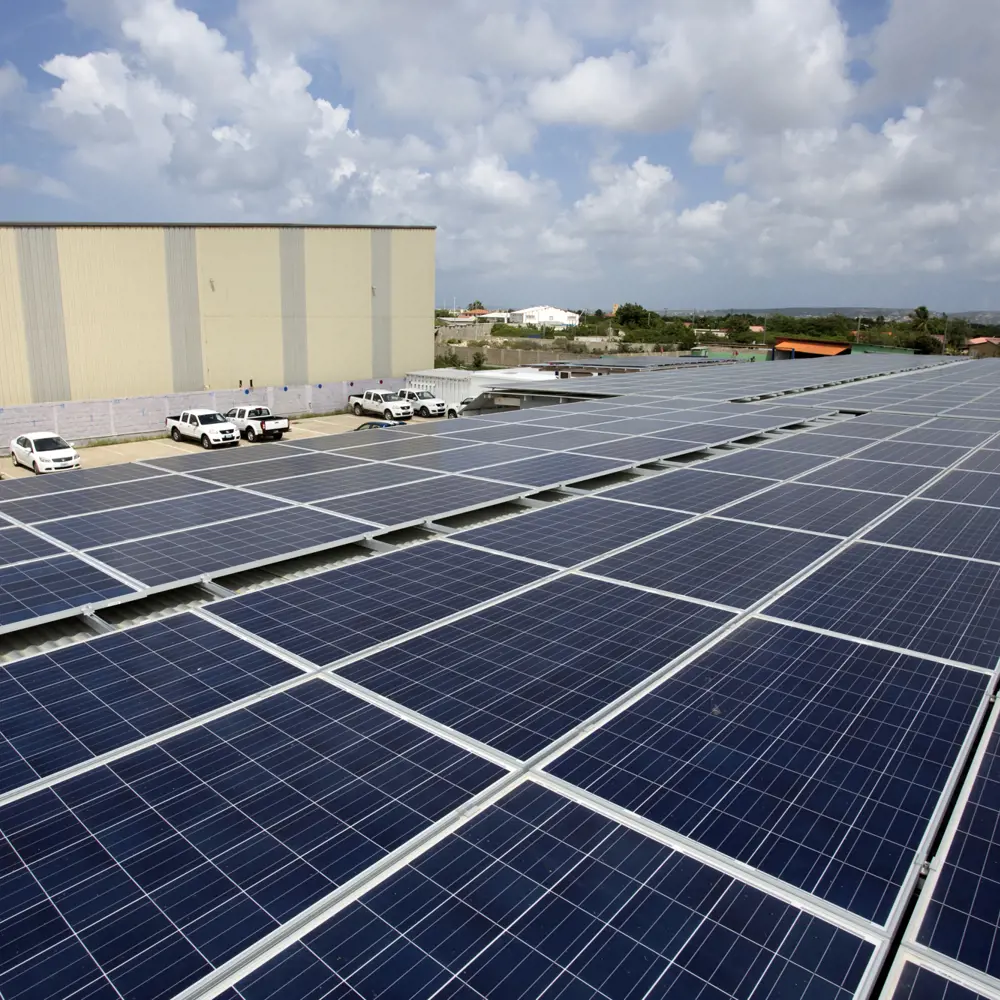AB Scooter Rental draait volledig op zonnepanelen en wast haar scooters met gefilterd regenwater.