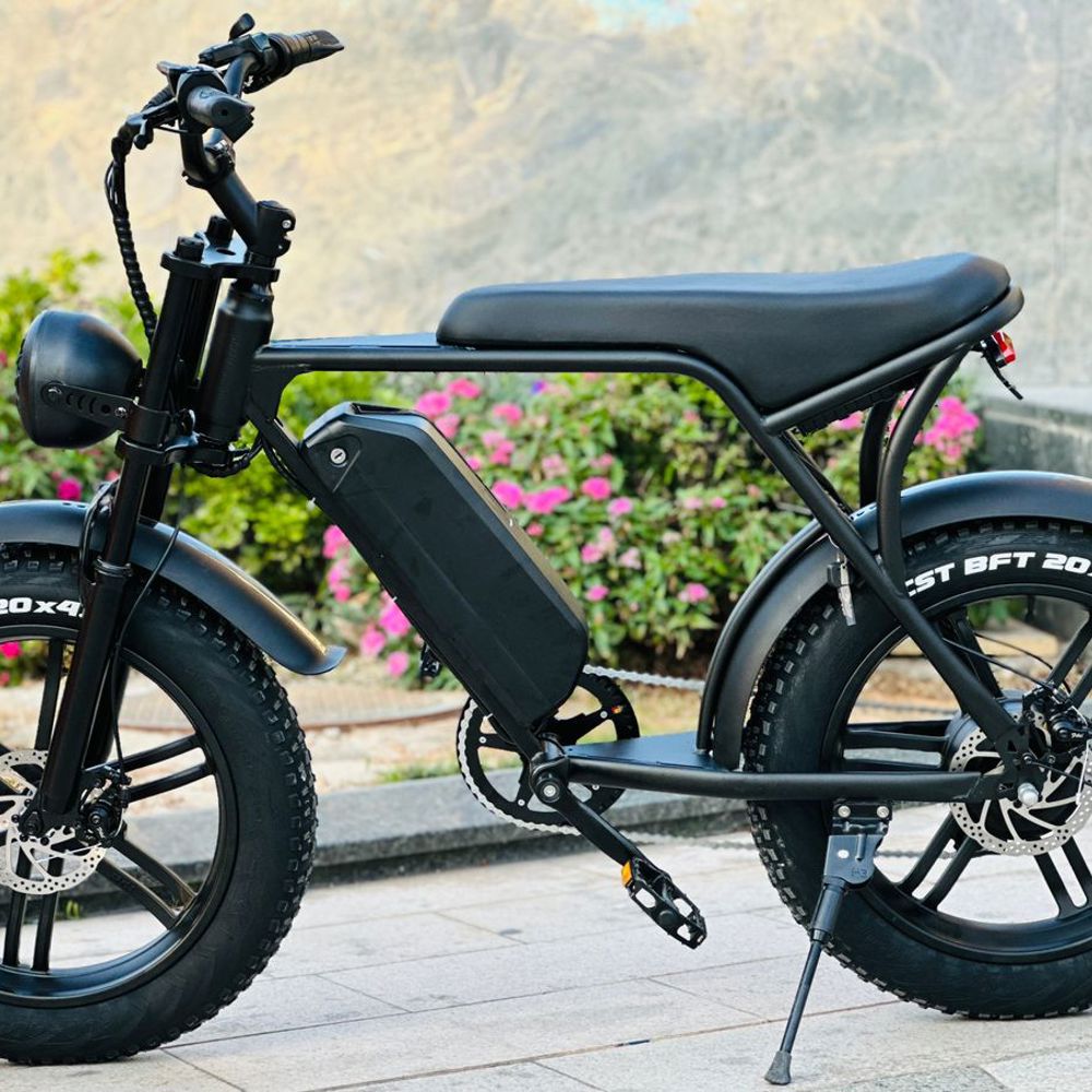 Elektrische fatbike