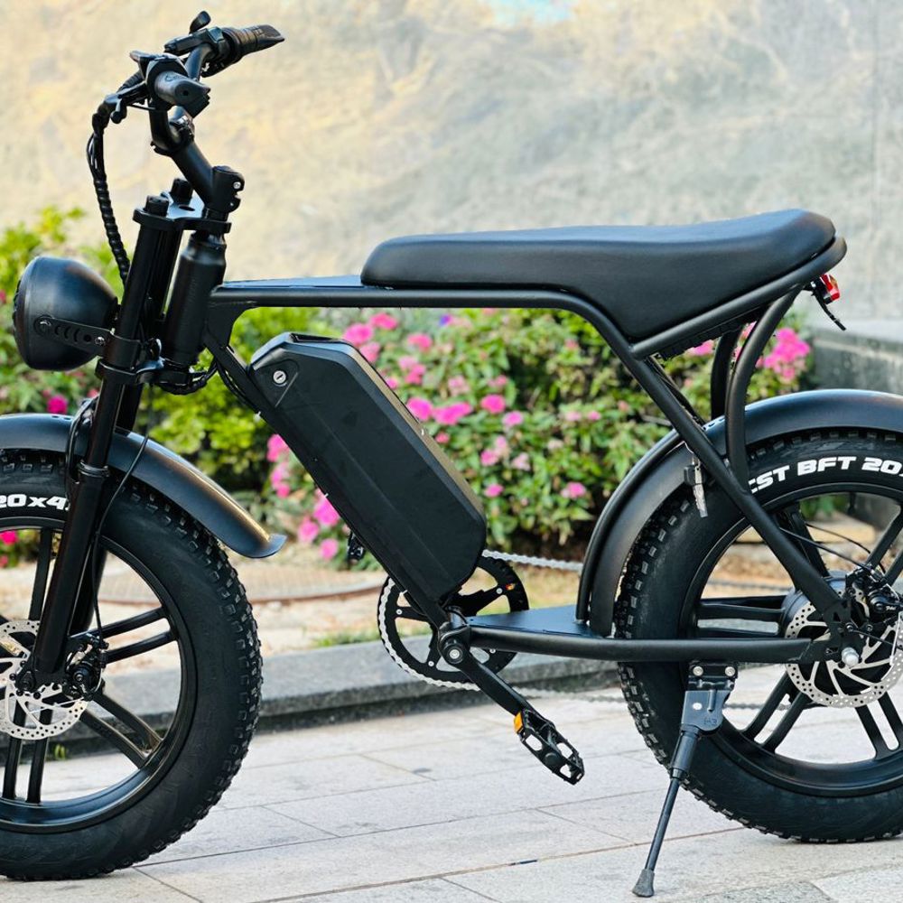 Electric fatbike